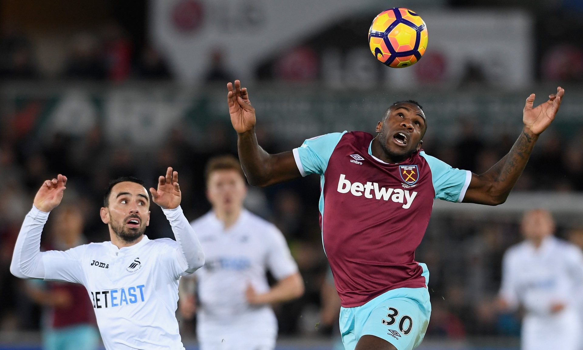 不容错过的 不容错过的